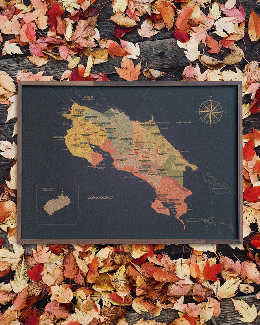 Mapa de Costa Rica en Corcho Natural - Colección Impresos · 45 × 33 cm